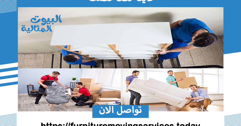 دينا نقل عفش